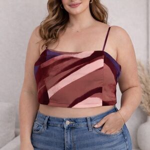 Banana Republic Burgundy and Pink Plus Size Crop Top